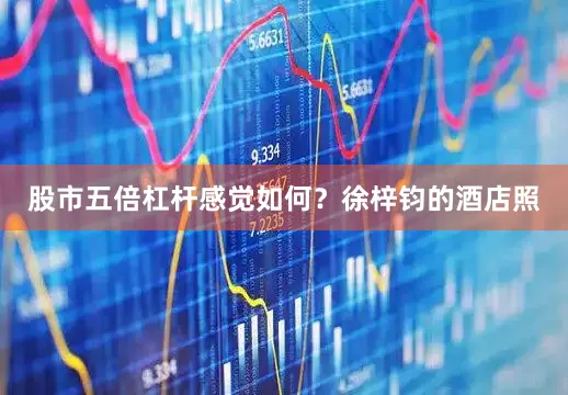 股市五倍杠杆感觉如何？徐梓钧的酒店照